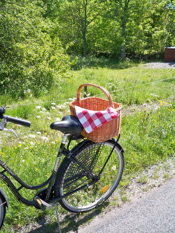 Bilkorg med längsgående grepe