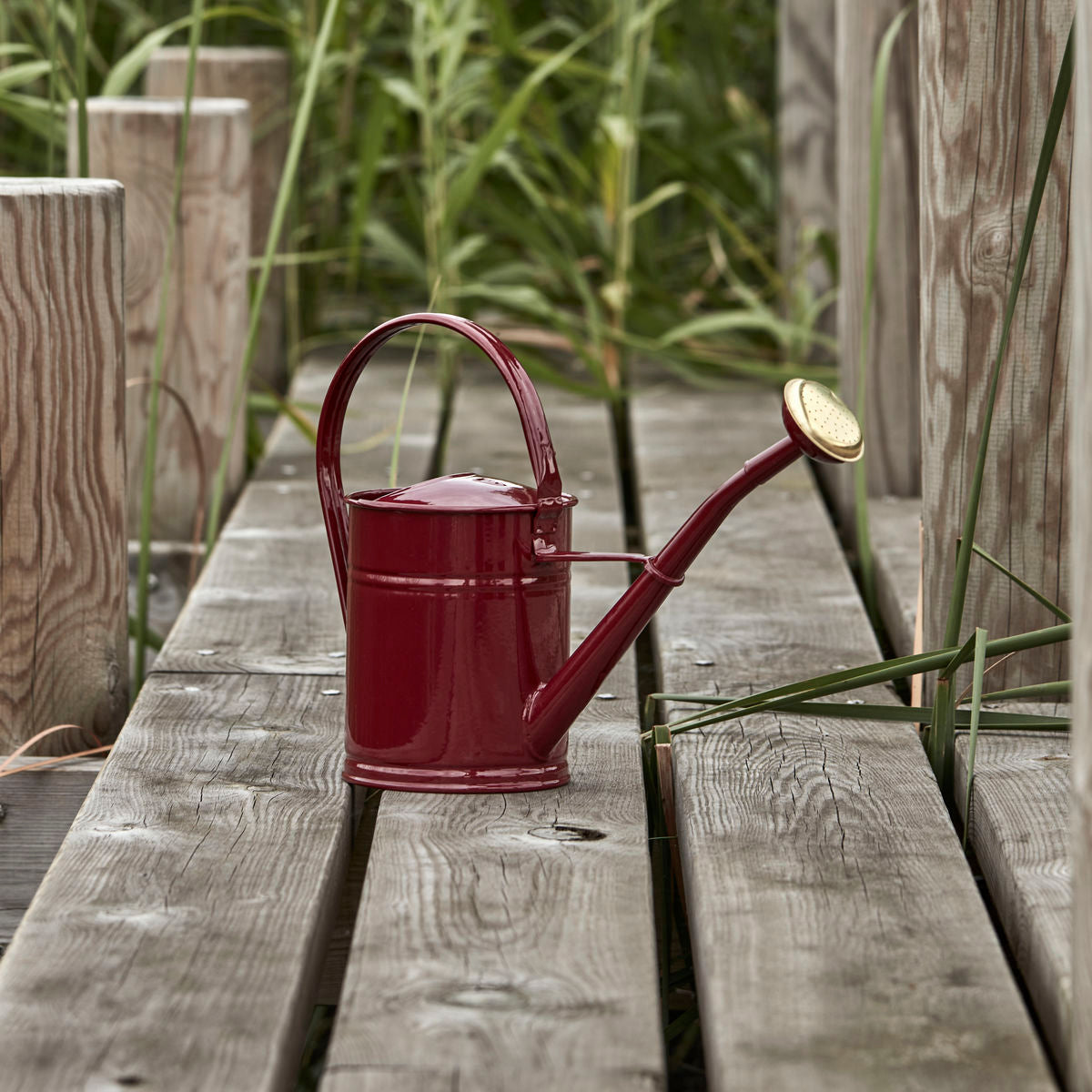 Vattenkanna Bordeaux Liten House Doctor