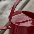 Vattenkanna Bordeaux Liten House Doctor