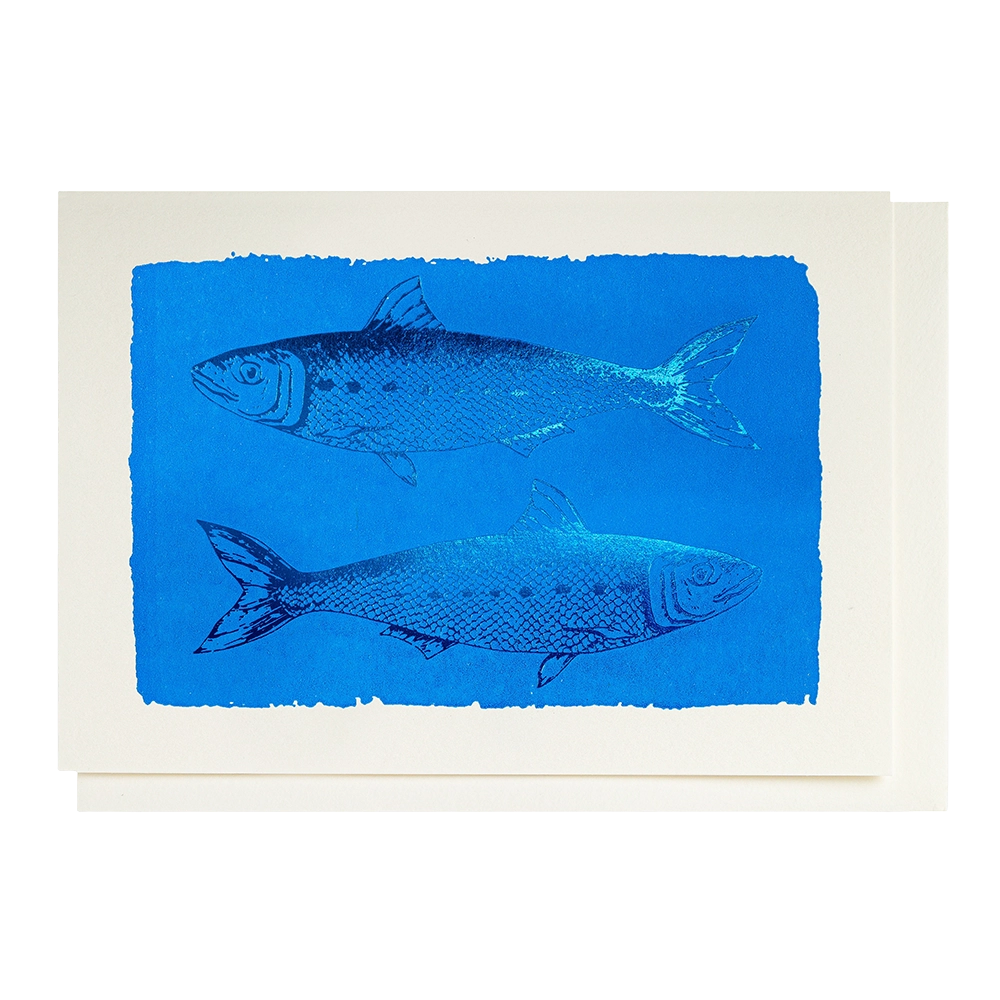 Kort Sardines – Archivist