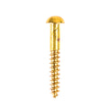 Träskruv TKS 6x1 mässing, 10-pack