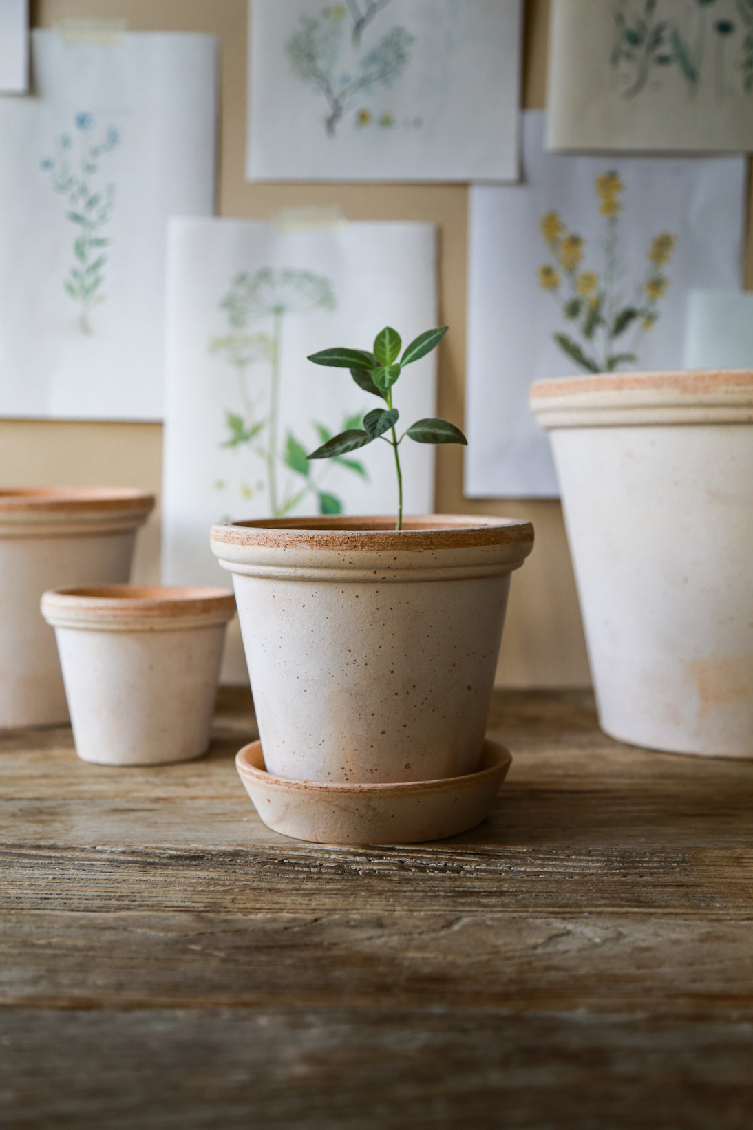 Flora ø35 cm Bergs Potter