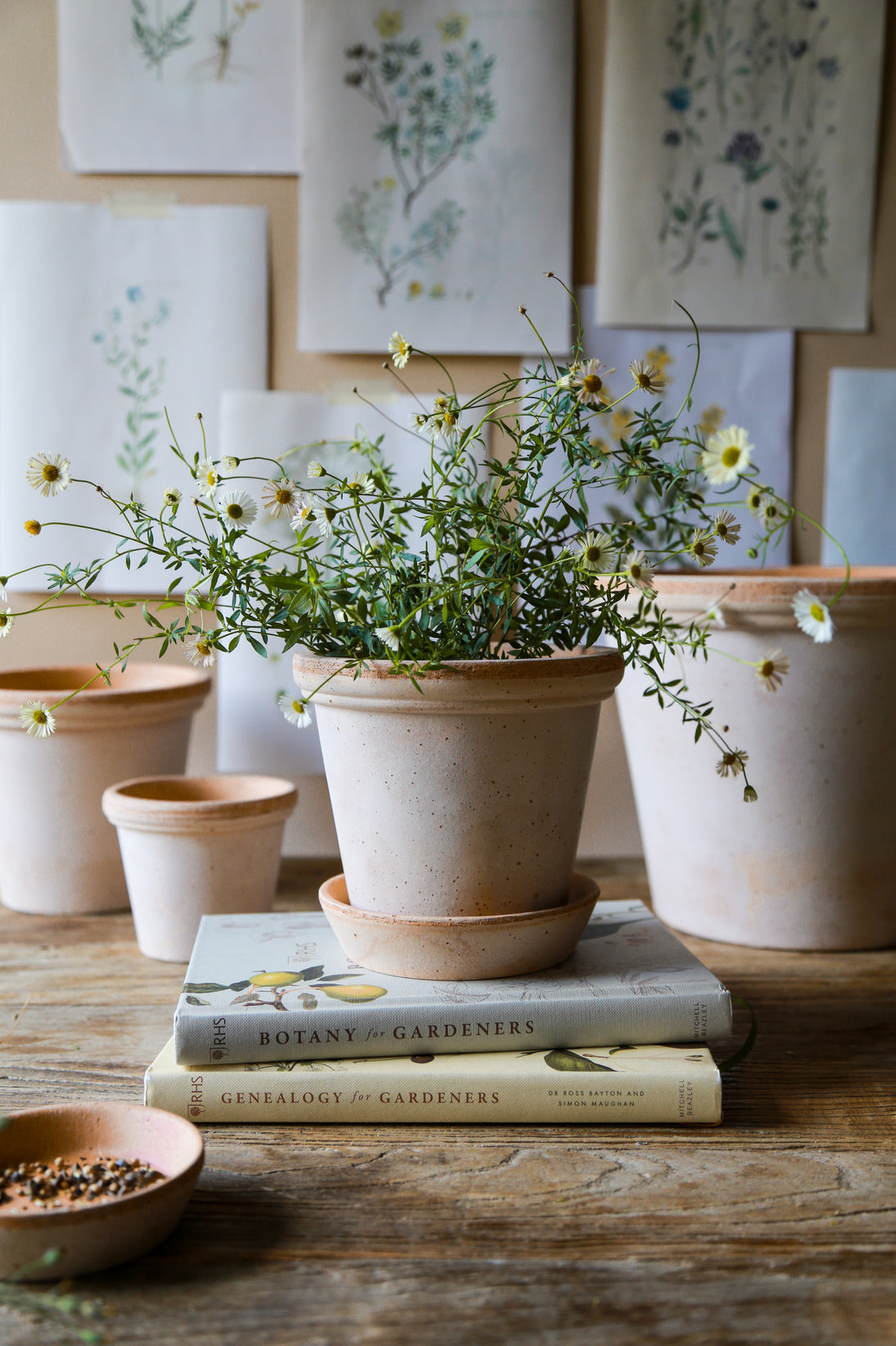 Flora ø16 cm Bergs Potter