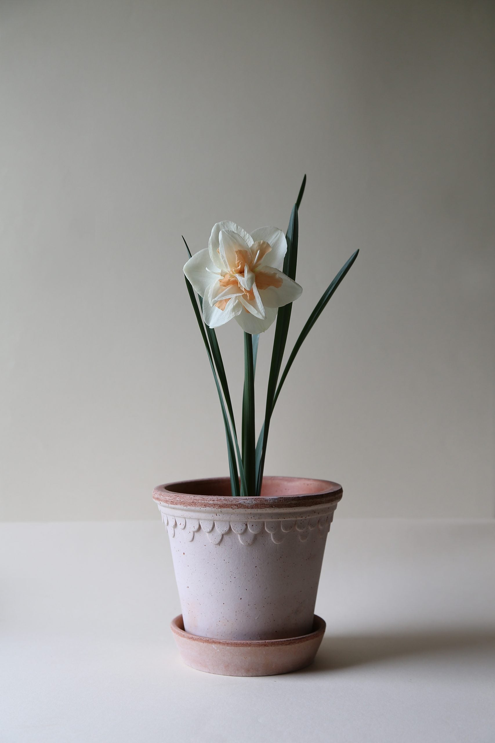 Kruka Köpenhamn Rosa, Bergs Potter