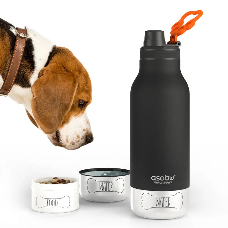 Vattenflaska Barky Bottle – Pastel Green – Asobu