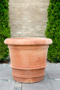 Kruka Lucca, Bergs Potter