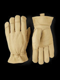 Driver HD Winter Hestra