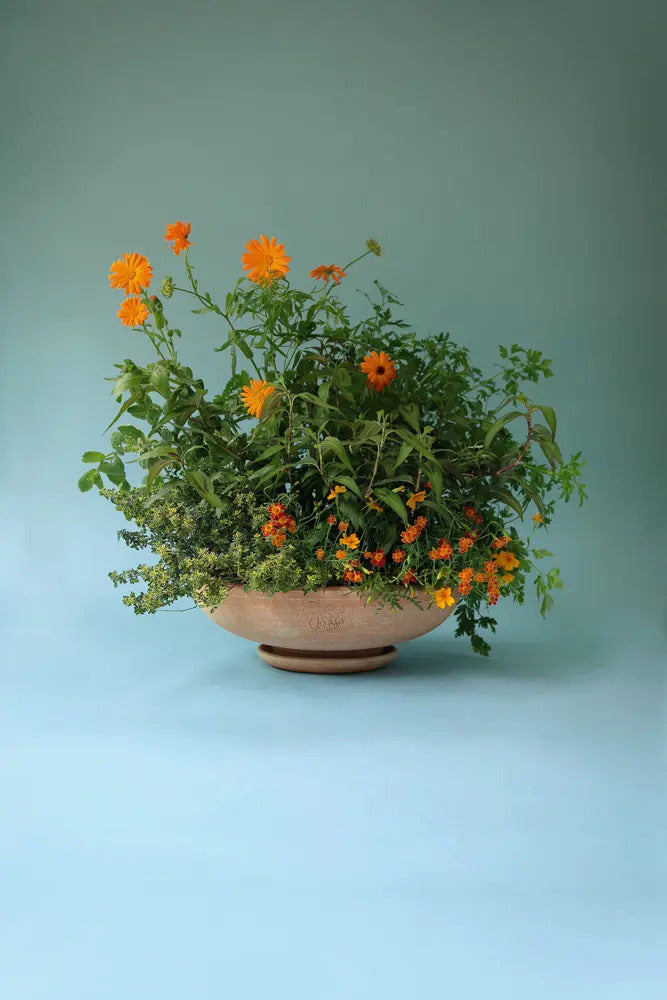 Kruka Ada Raw Rosa ø 30 cm, Bergs Potter