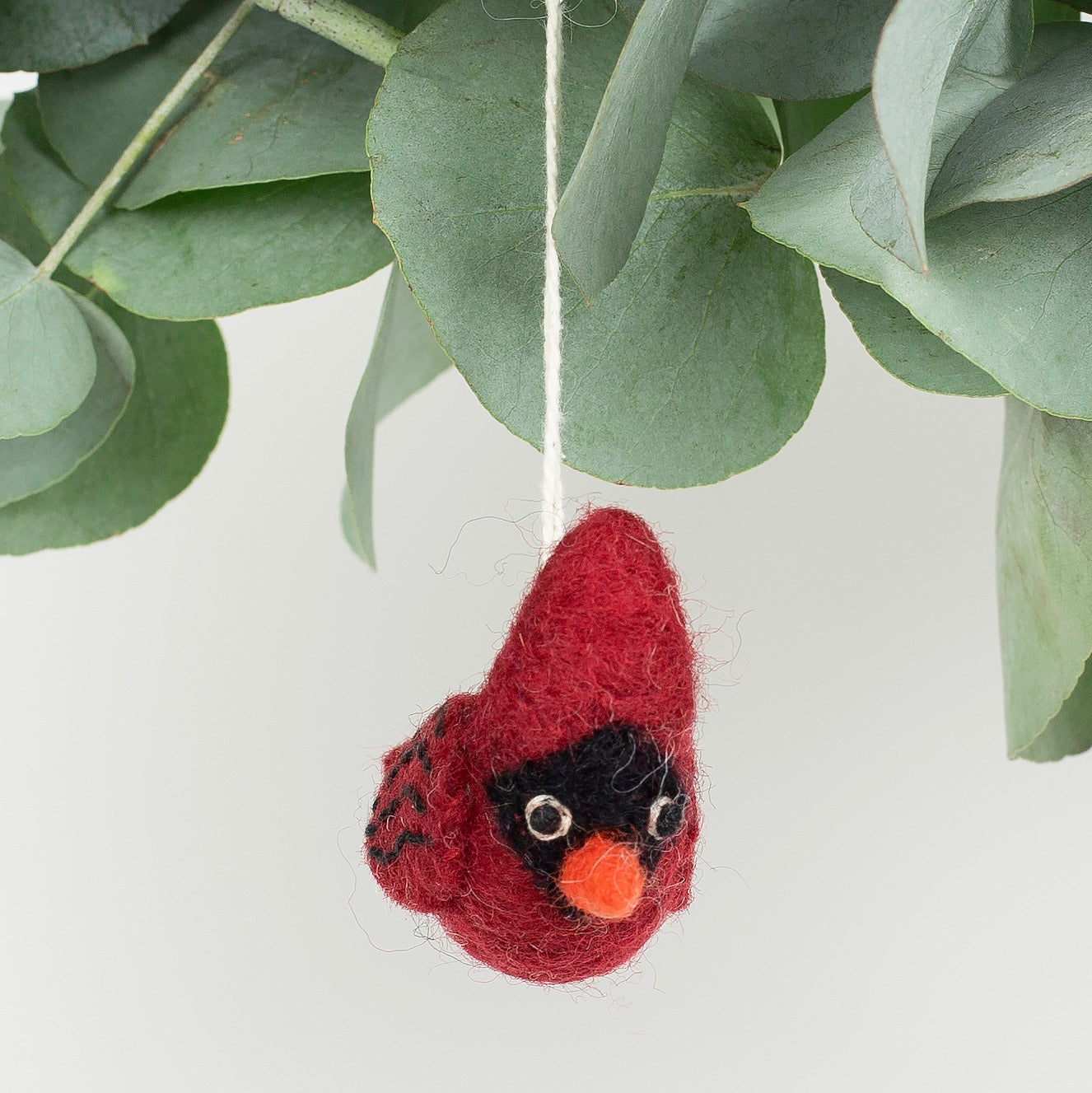RED CARDINAL Hänge