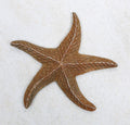 Sjöstjärna rost