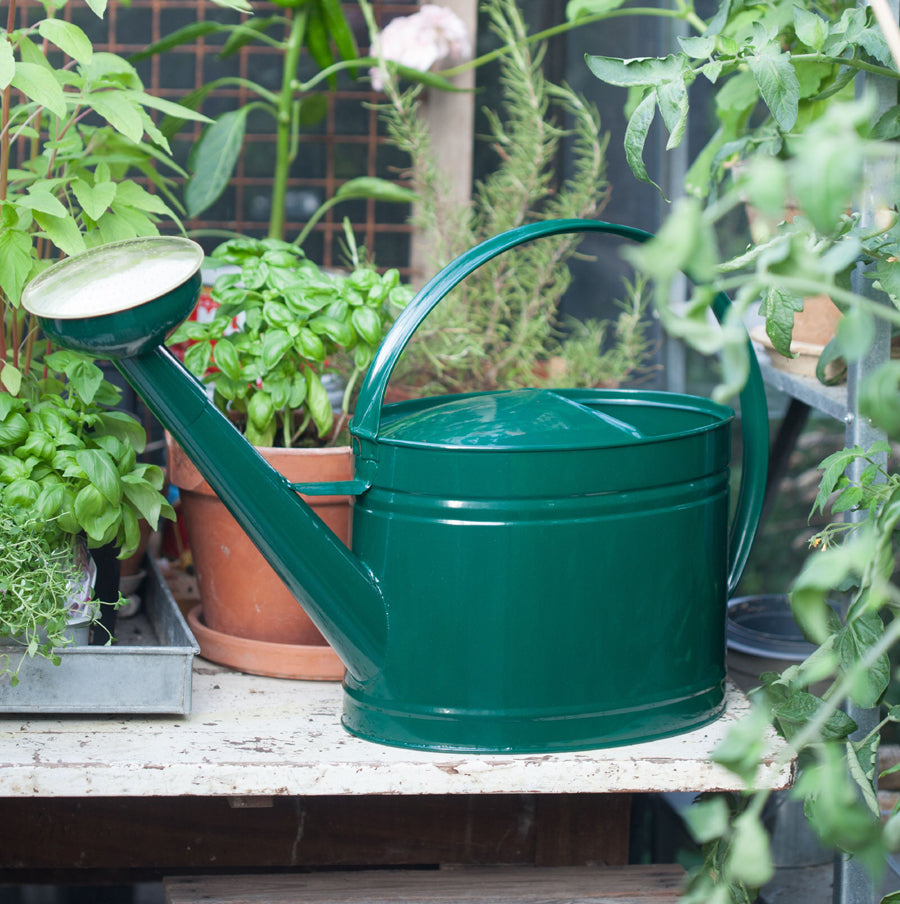 Vattenkanna, Mörkgrön, GardenMind
