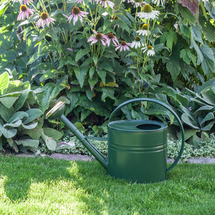Vattenkanna, Mossgrön, GardenMind