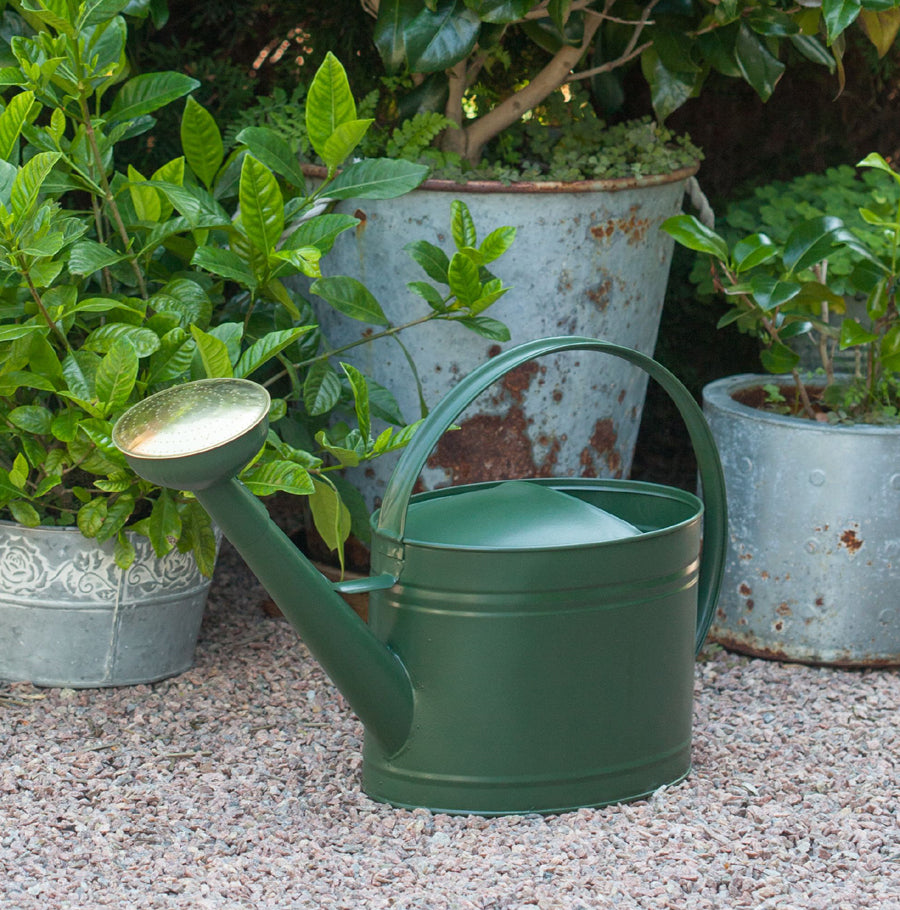 Vattenkanna, Mossgrön, GardenMind