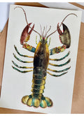 Vykort Hummer