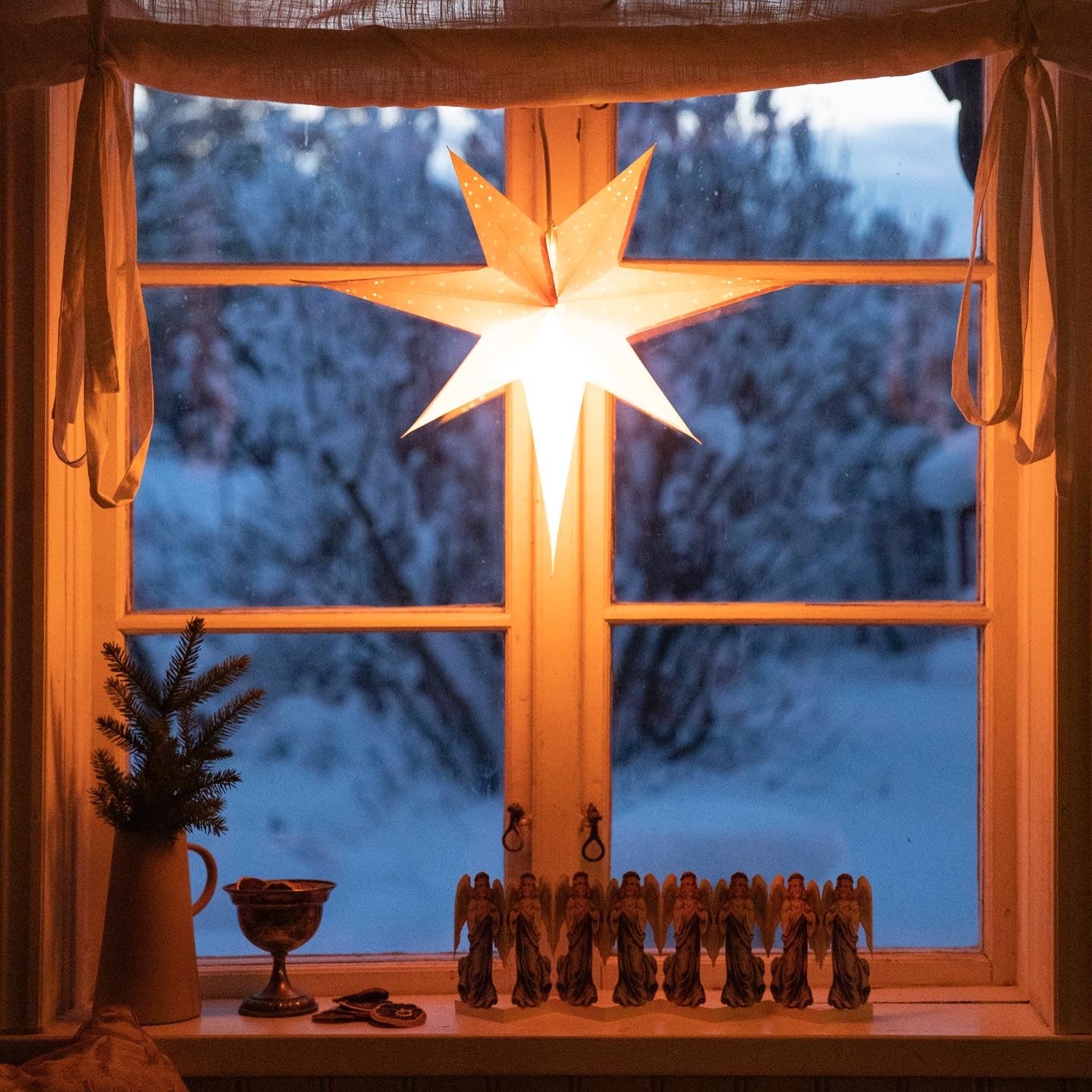 Adventsstjärna Orange