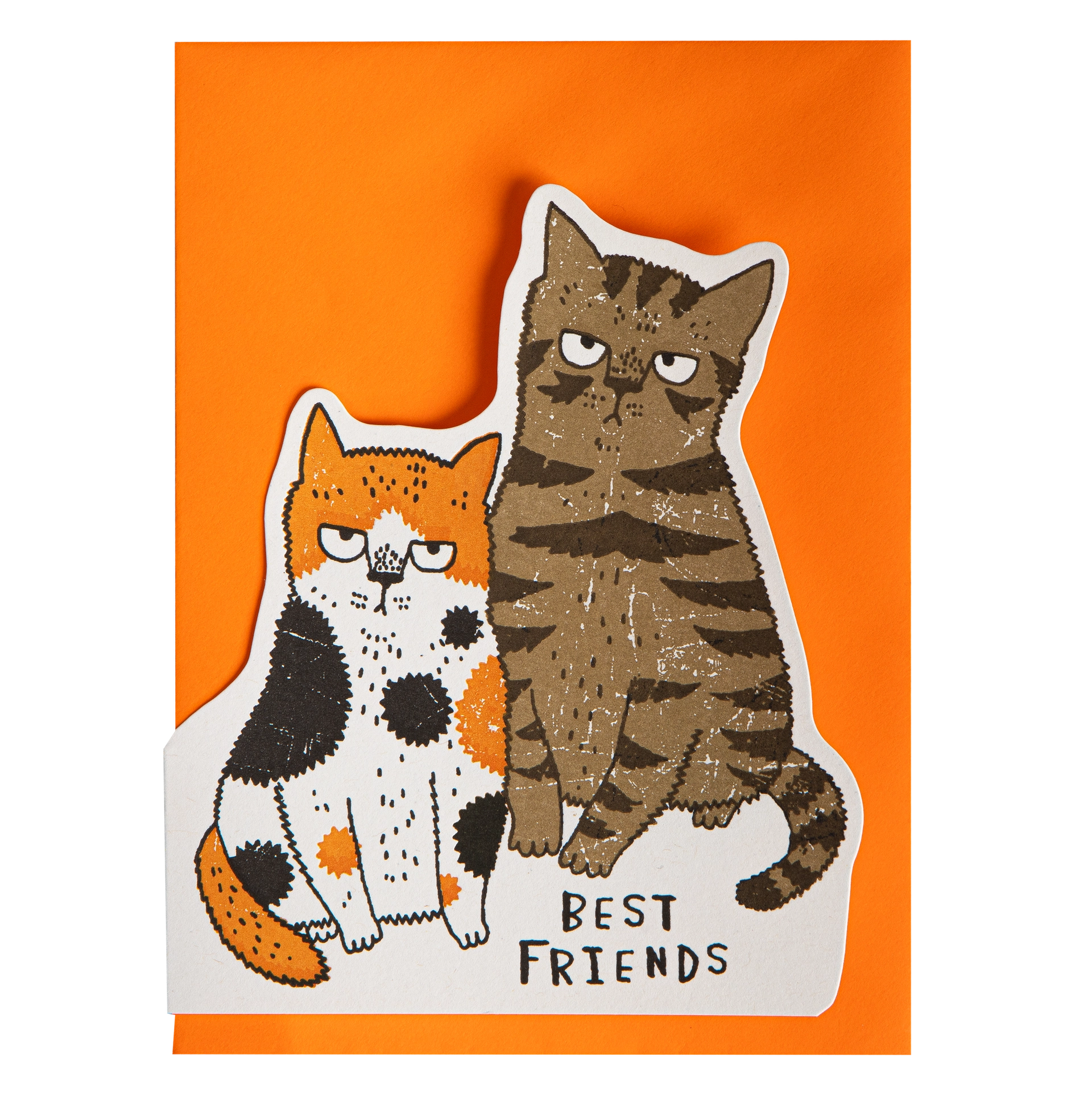 Kort Grumpy Cats – Best Friends