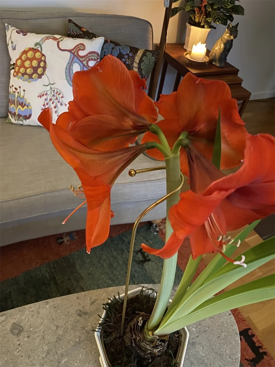 Blomstöd Krok, Eldgarden