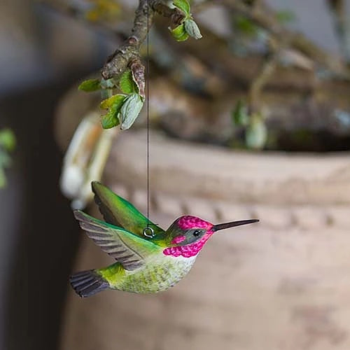 DecoBird Annas Kolibri