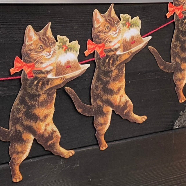 Girlang Katt