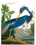 Vykort Heron The Archivist
