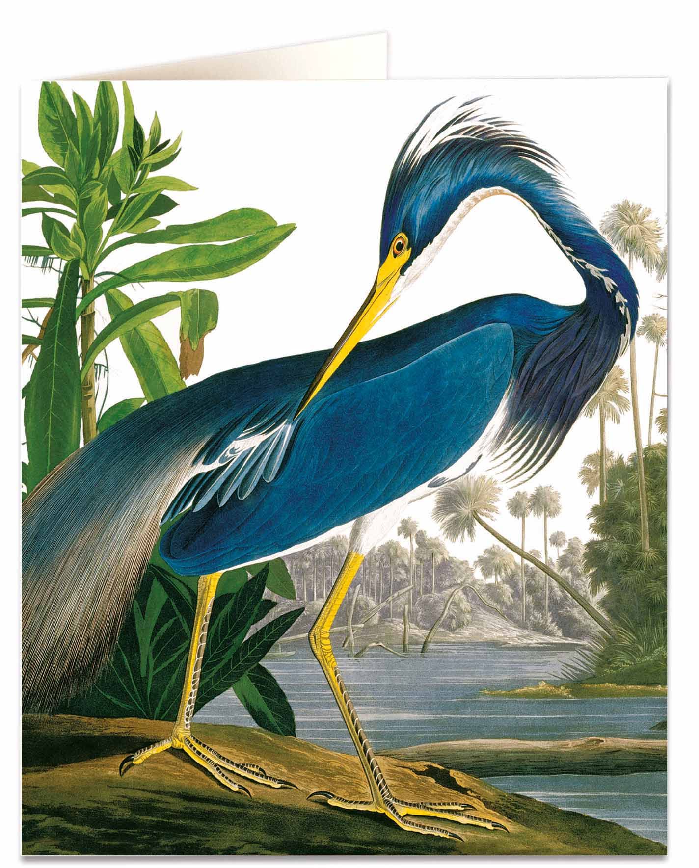 Vykort Heron The Archivist