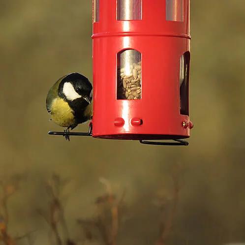 Kombimatare Frö Röd – Wildlife Garden