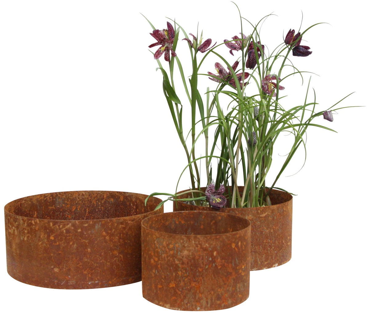 Kruka, Rund, Eldgarden