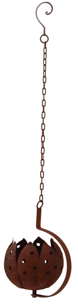 Marschall Tulpan hängande 70 cm