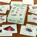 Memory Nature Trail