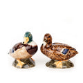 Salt- och pepparströare Gräsand Quail
