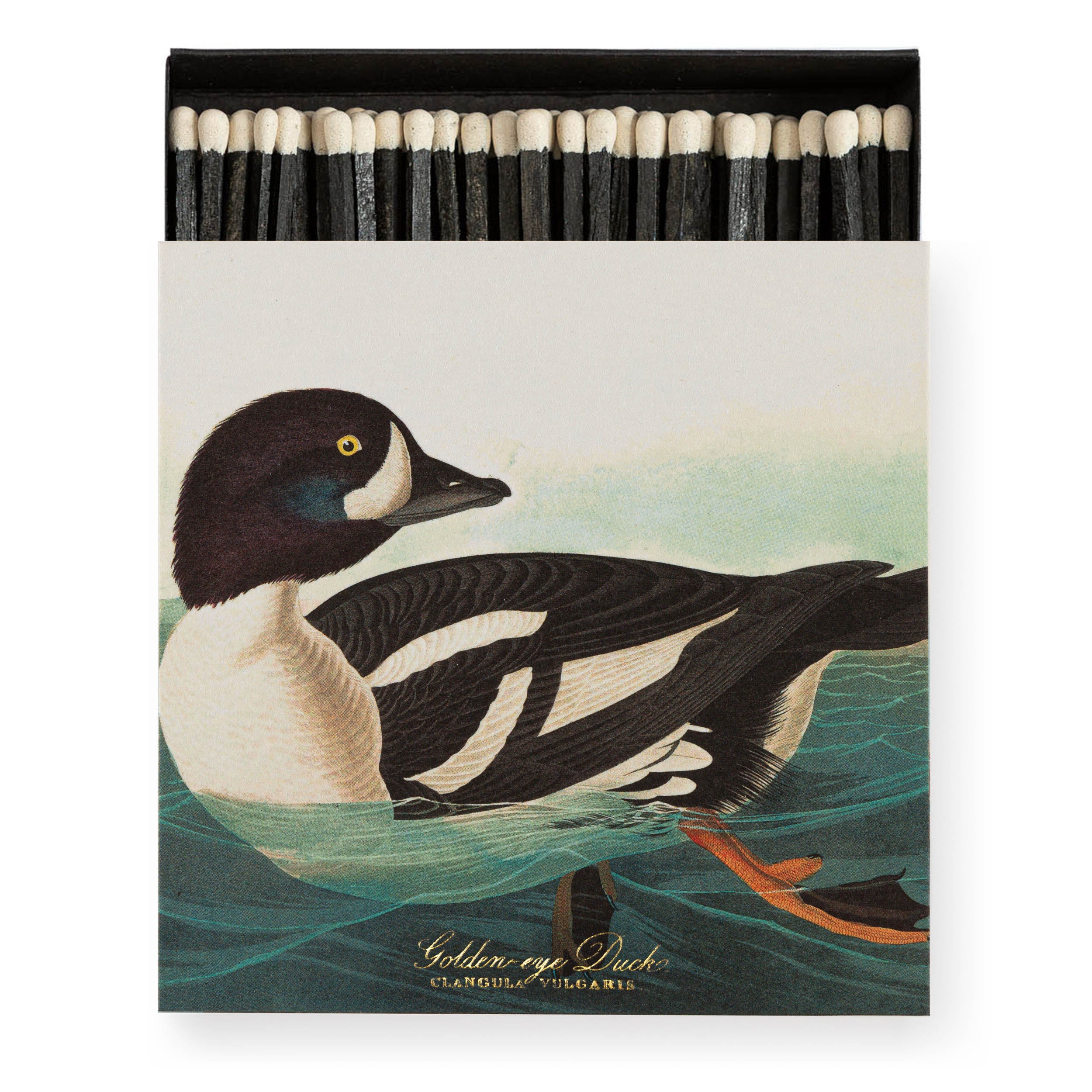 Tändstickor The Golden-eye Duck by Audubon
