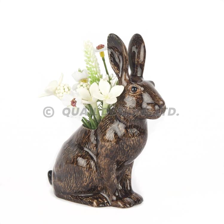 Vas liten Hare Quail