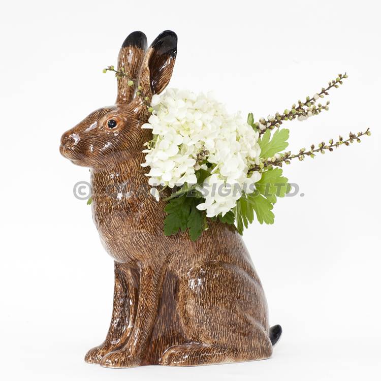 Vas Hare stor Quail