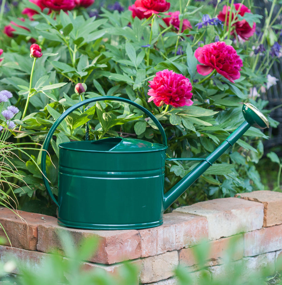 Vattenkanna, Mörkgrön, GardenMind