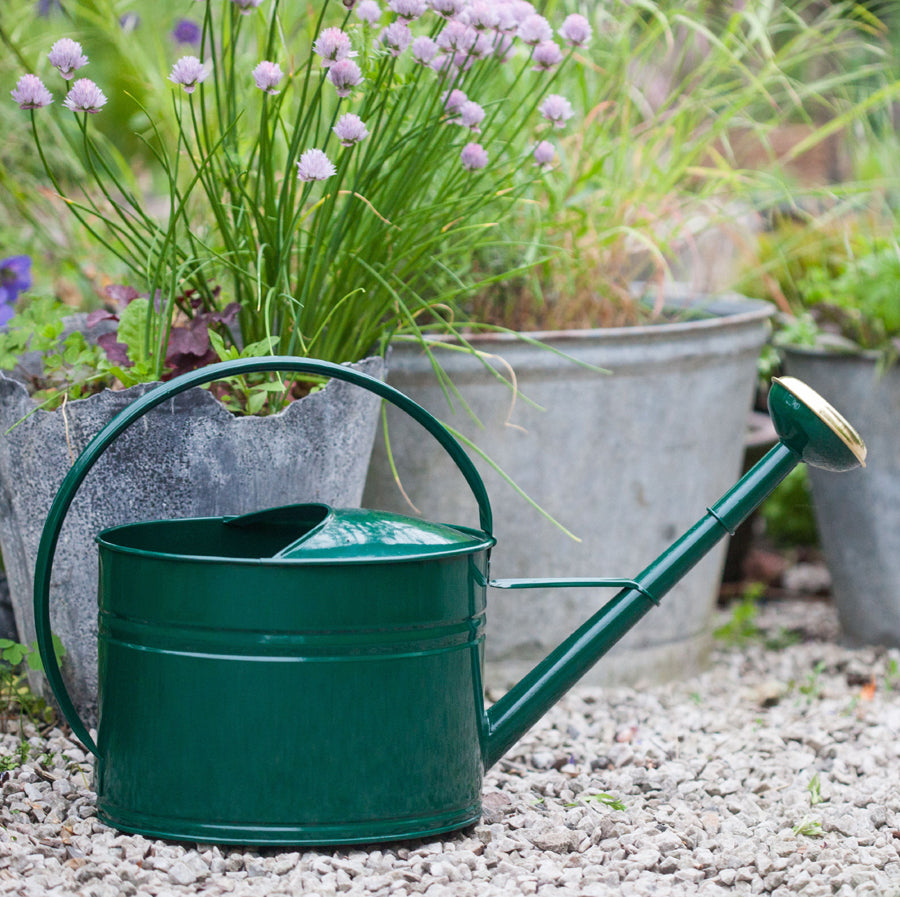 Vattenkanna, Mörkgrön, GardenMind