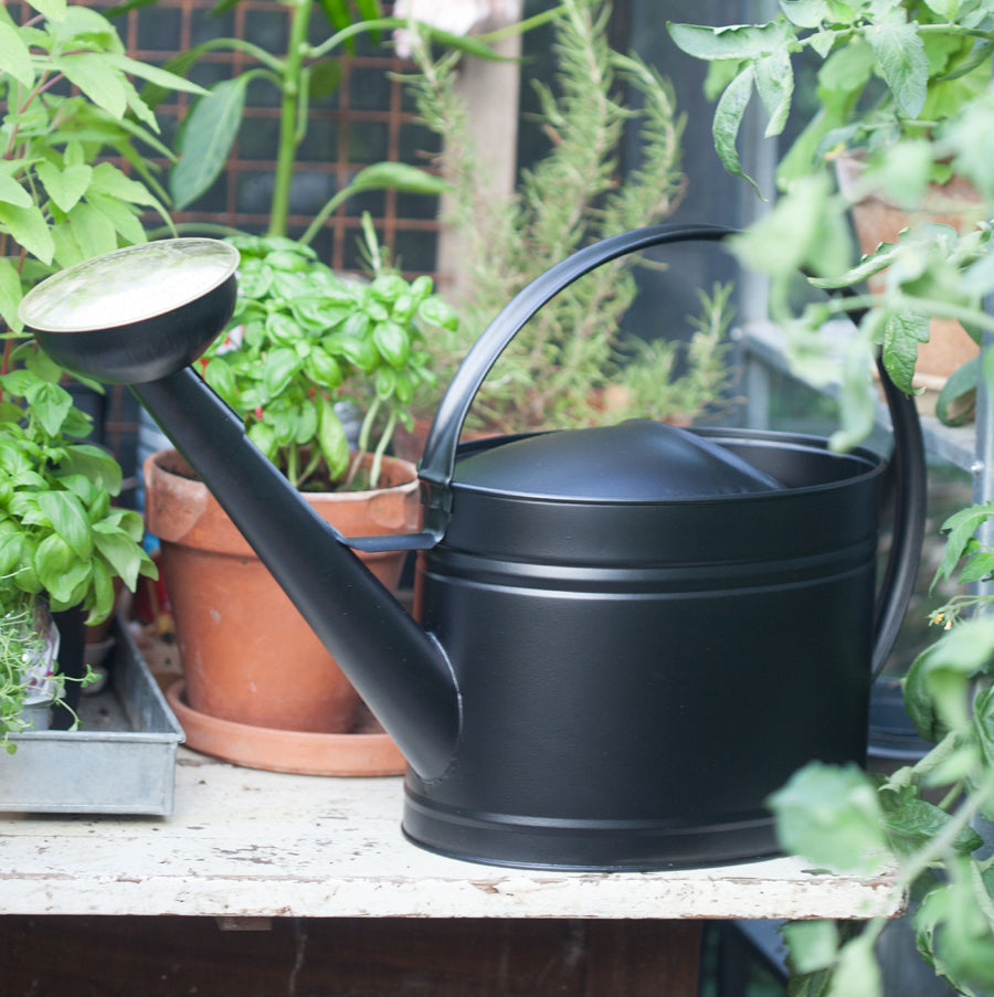 Vattenkanna, Matt Svart, GardenMind