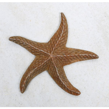 Sjöstjärna rost Produktkategori: Dekorationer. Köp hos Byggnadsvardskompaniet.se