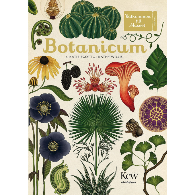 Botanicum Produktkategori: Böcker & Bilder. Köp hos byggnadsvardskompaniet.se