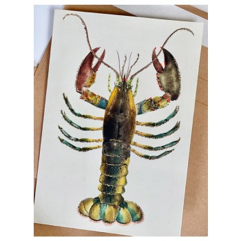 Vykort Hummer Produktkategori: Böcker & Bilder. Köp hos Byggnadsvardskompaniet.se