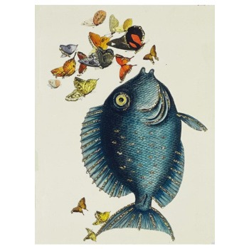 Vykort Fisk Produktkategori: Böcker & Bilder. Köp hos Byggnadsvardskompaniet.se