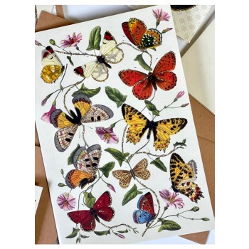 Vykort Fjärilar Produktkategori: Böcker & Bilder. Köp hos Byggnadsvardskompaniet.se