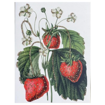 Vykort Jordgubbar Produktkategori: Böcker & Bilder. Köp hos Byggnadsvardskompaniet.se